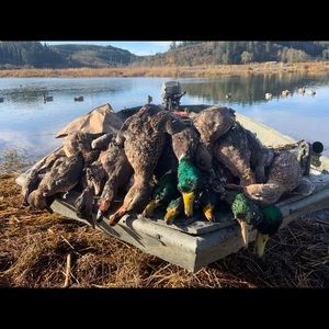 Meet your Posher, Jesse